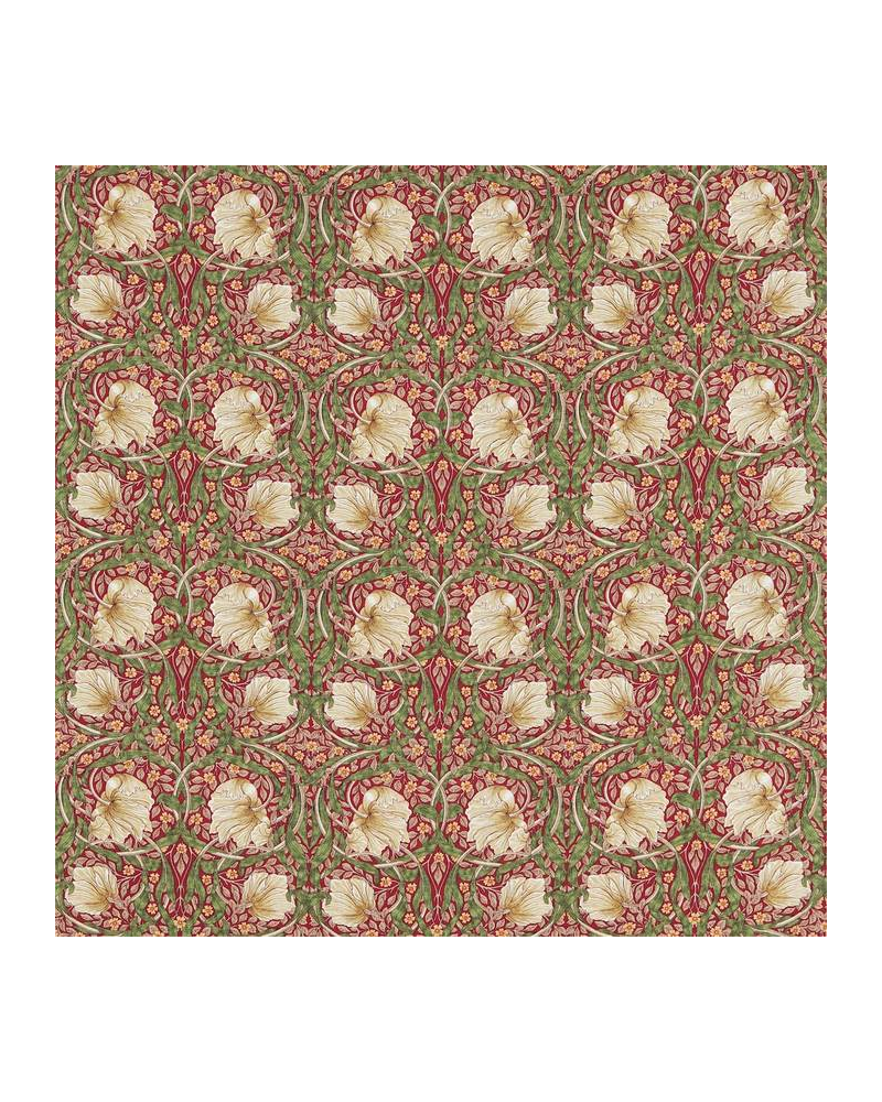 Tela DM3P224493 Pimpernel MORRIS CO