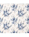 DWAP226288 DELPHINIUMS Indigo