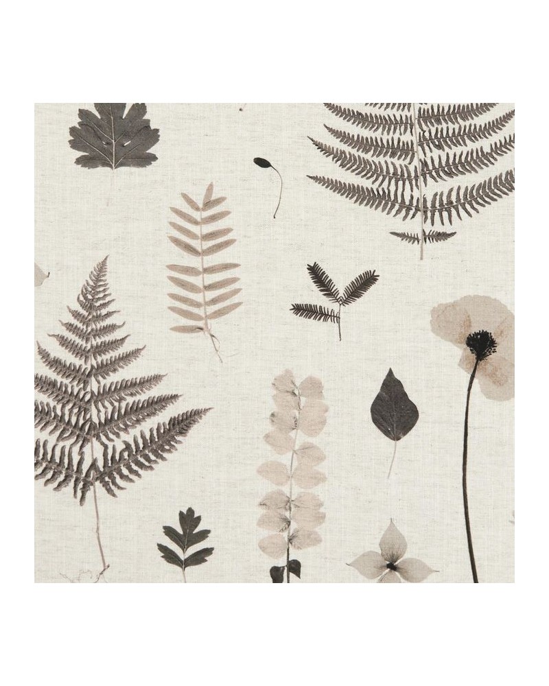 Tela F1089-02 HERBARIUM CHARCOAL NATURAL CLARKE & CLARKE