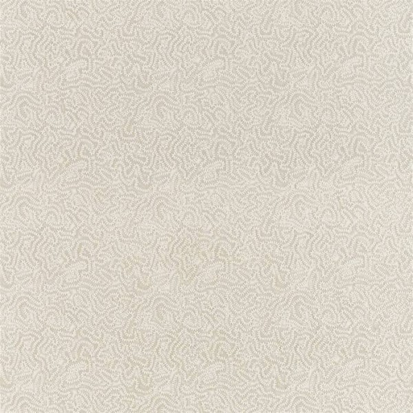 Maze Coral 332974 Maze Coral 332974