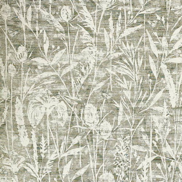 Violet Grasses 237198 Violet Grasses 237198