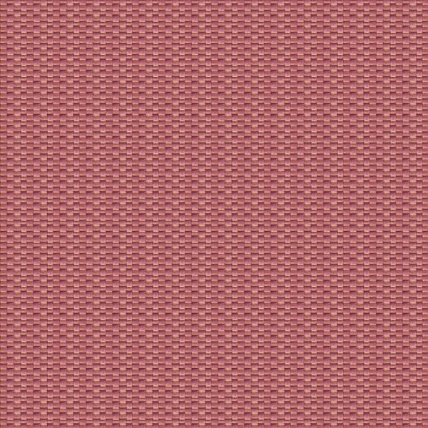 ISAMU-CORAL-GDT-5637-007