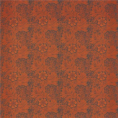 Marigold 226845 Marigold 226845