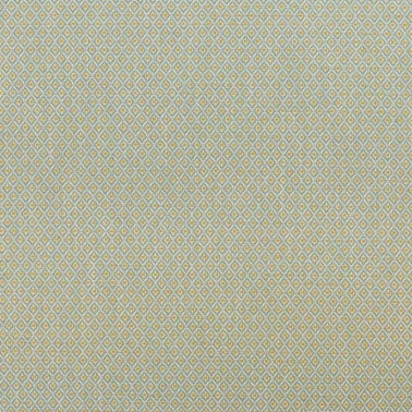 Basil Col.8