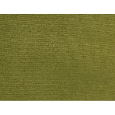 CARVER VELVET WATER REPELLENT 18 Vintage Green