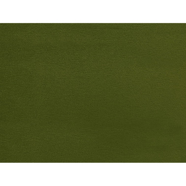 CARVER VELVET WATER REPELLENT 20 Eden Green