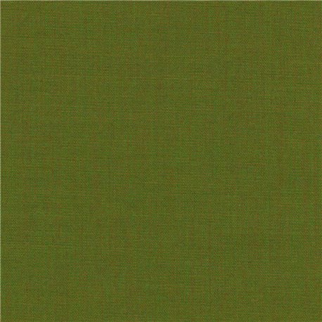 Canvas 2 C0954