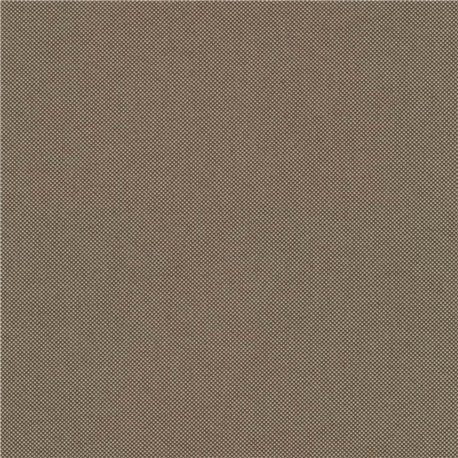 Field 2 C0343