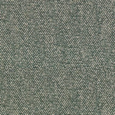 Moss C0003
