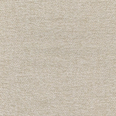 Moss C0018
