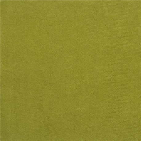 F2034_42 CASSIA F2034_42 CASSIA