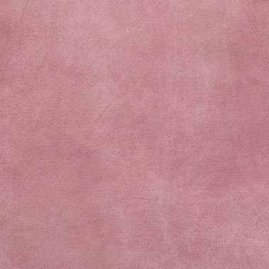 ANTIQCOLONIAL ROSE