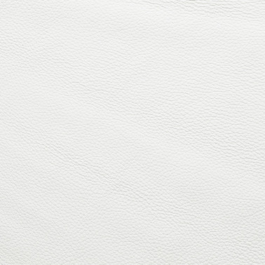 CIERVO BLANCO OPTICO