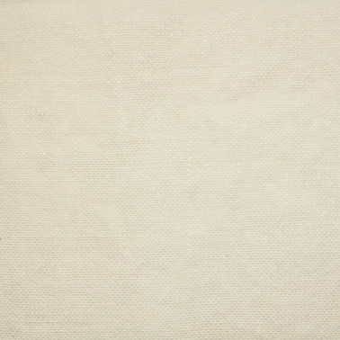 CANVAS-01