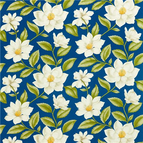 Grandiflora Bright Blue DOSF226866 Grandiflora Bright Blue DOSF226866