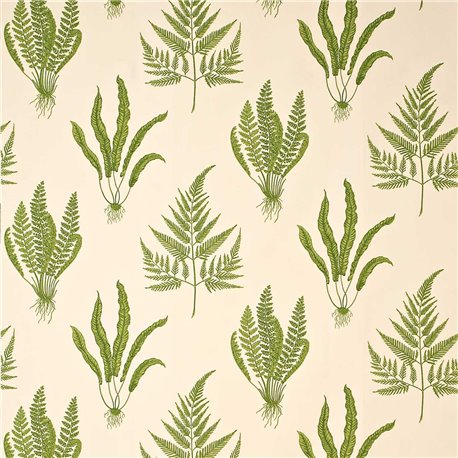 Woodland Ferns Green DAPGWO202 Woodland Ferns Green DAPGWO202