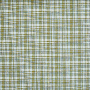 Coat Lime