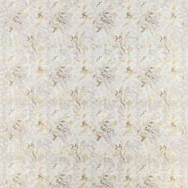 Cecily J0085-01