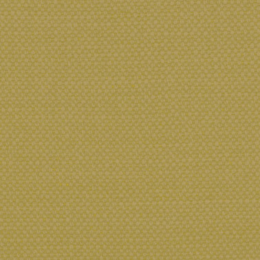 Aspen-05