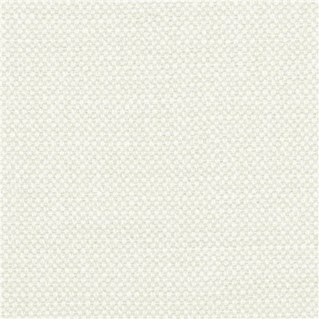 Aspen-17