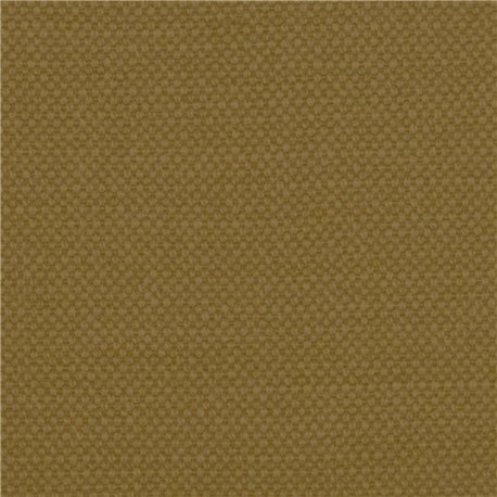 Aspen-111