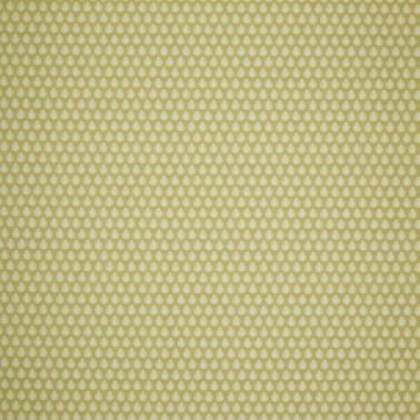 Jaipur Pollen