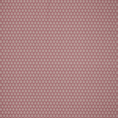 Jaipur Raspberry