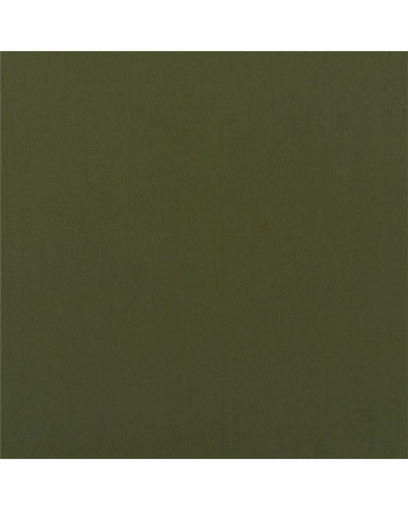 Perledo Fern FDG3103-11 Perledo Fern FDG3103-11