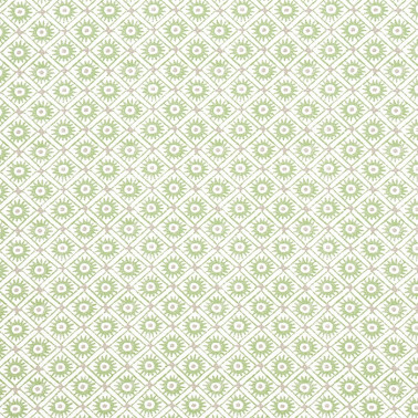 Mini Sun Green AF24568