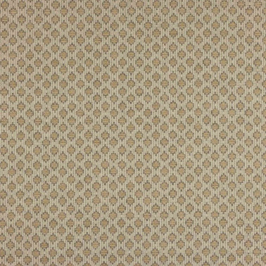 Delaney Taupe J0241-04