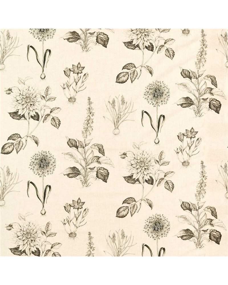 Roseraie Charcoal F1738-02 Roseraie Charcoal F1738-02
