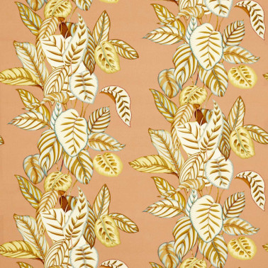 Calathea Sandstone DSAN227190