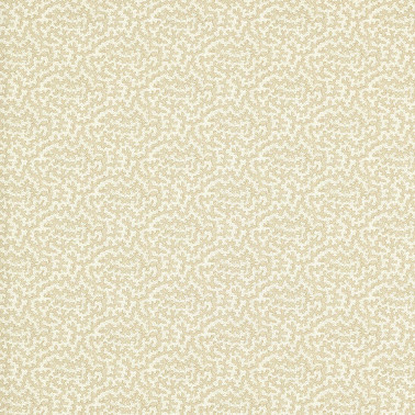 Truffle Sand Dollar DSAN227261