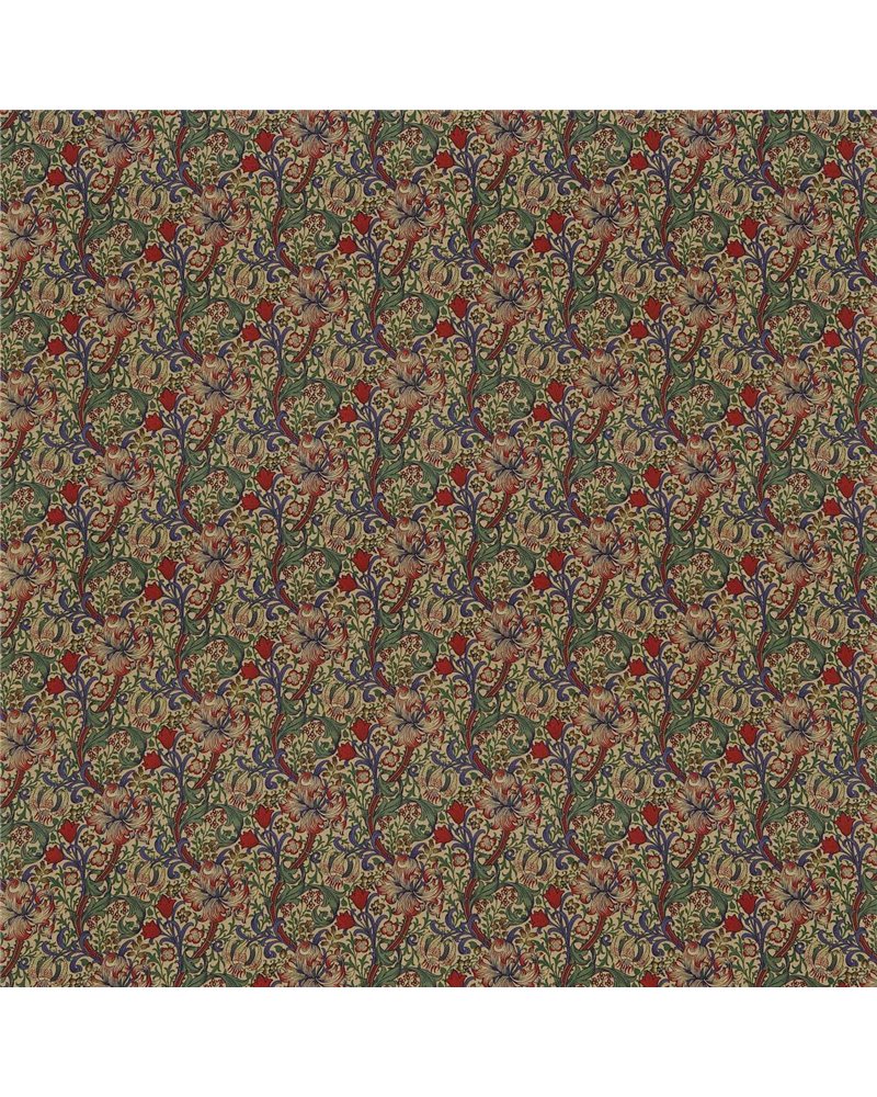 Golden Lily Minor Biscuit Indigo Red DMC1G4203 Golden Lily Minor Biscuit Indigo Red DMC1G4203