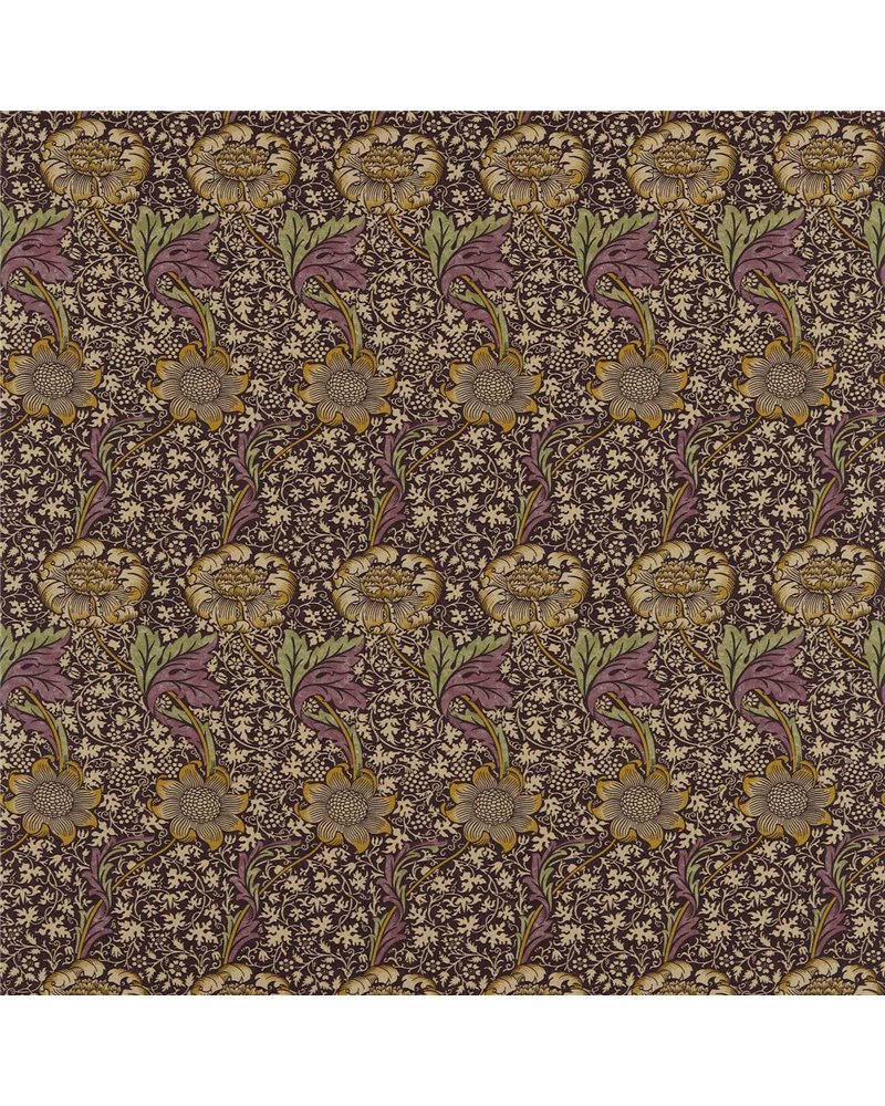 Kennet Grape Gold DM6F220323 Kennet Grape Gold DM6F220323