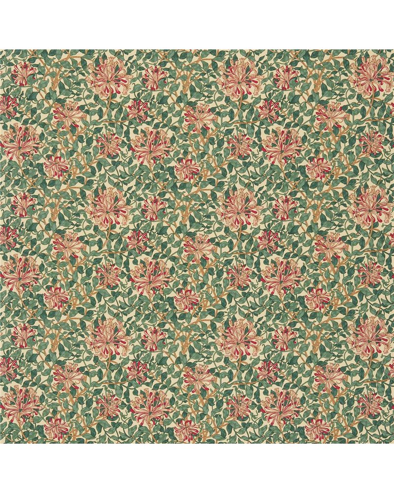 Honeysuckle Cream Wine DMC1HS203 Honeysuckle Cream Wine DMC1HS203