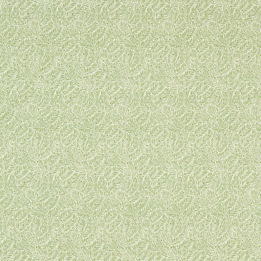 Yew & Aril Sage MLIF227256