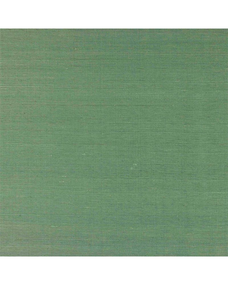 Lazare Agave M4131-24 Lazare Agave M4131-24