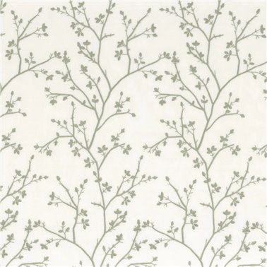 Mathurin Celadon 49270360
