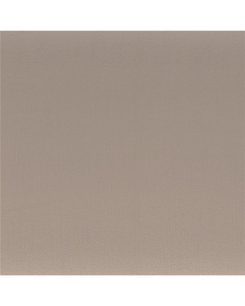 Anemone Ficelle 50110825 Anemone Ficelle 50110825