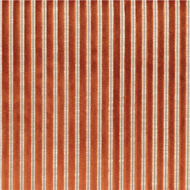 Zebu Orange Brule 11631029