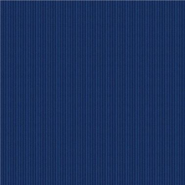 Tournament Stripe Blue FRL5273-02