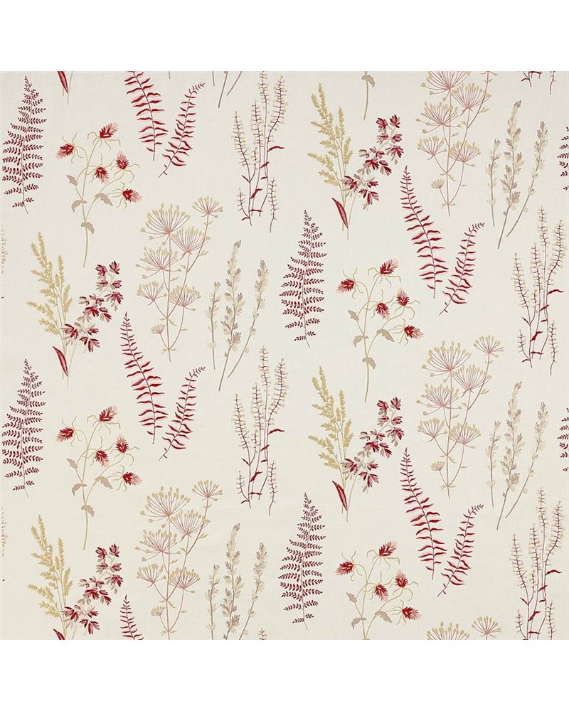 Corbell Red J0097-03 Corbell Red J0097-03