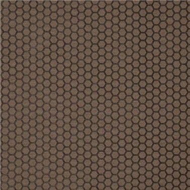 Axel Taupe J0177-05