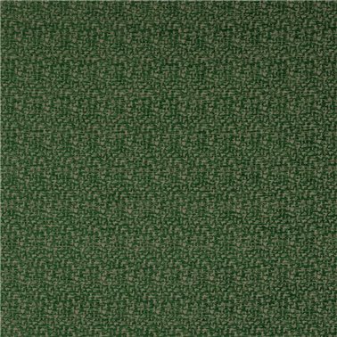 Buteo Emerald J0212-0l