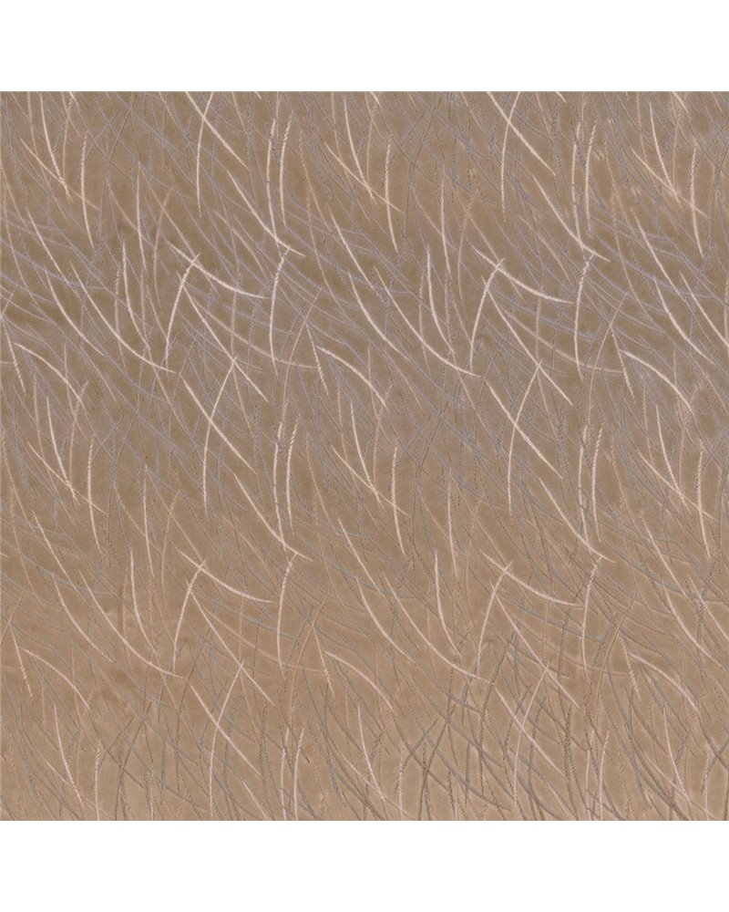 Euphorbe Marron Glace 46060242 Euphorbe Marron Glace 46060242