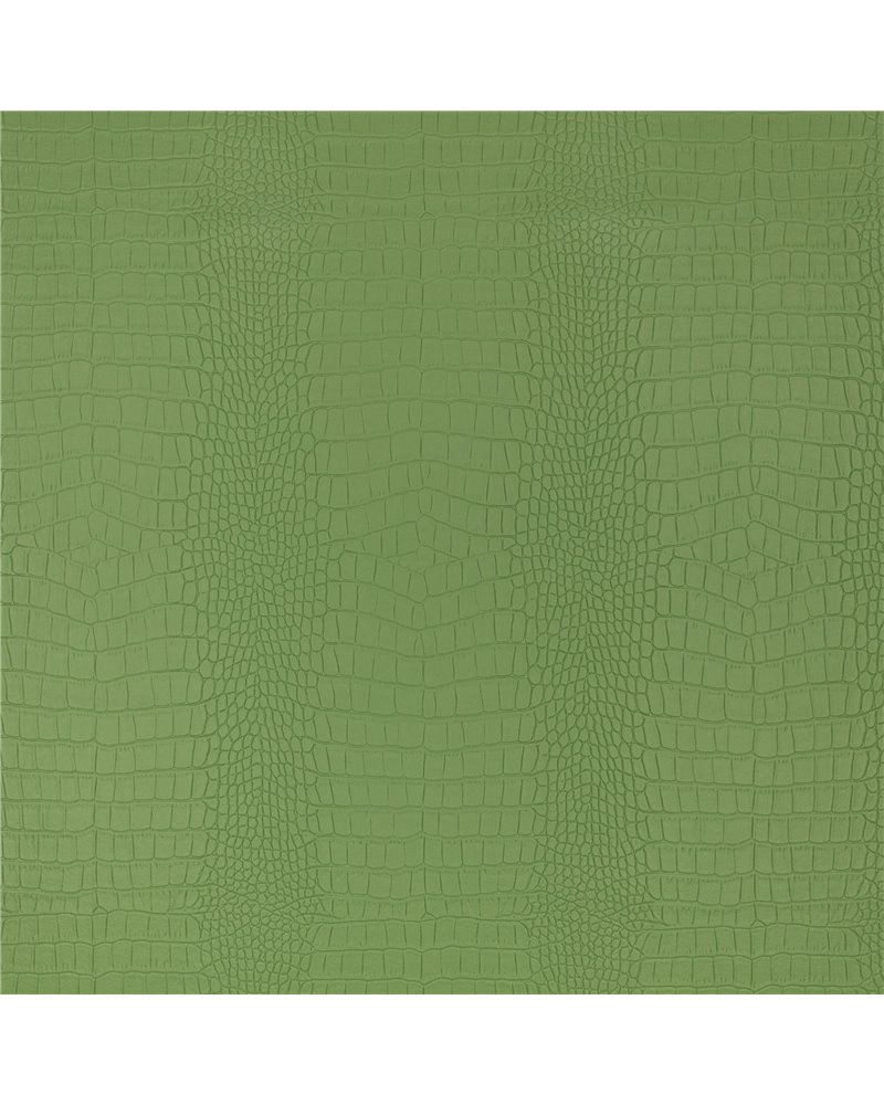 Croc Asparagus K5356-03