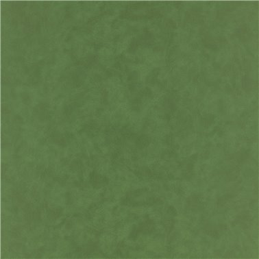 Hide Asparagus K5354-13
