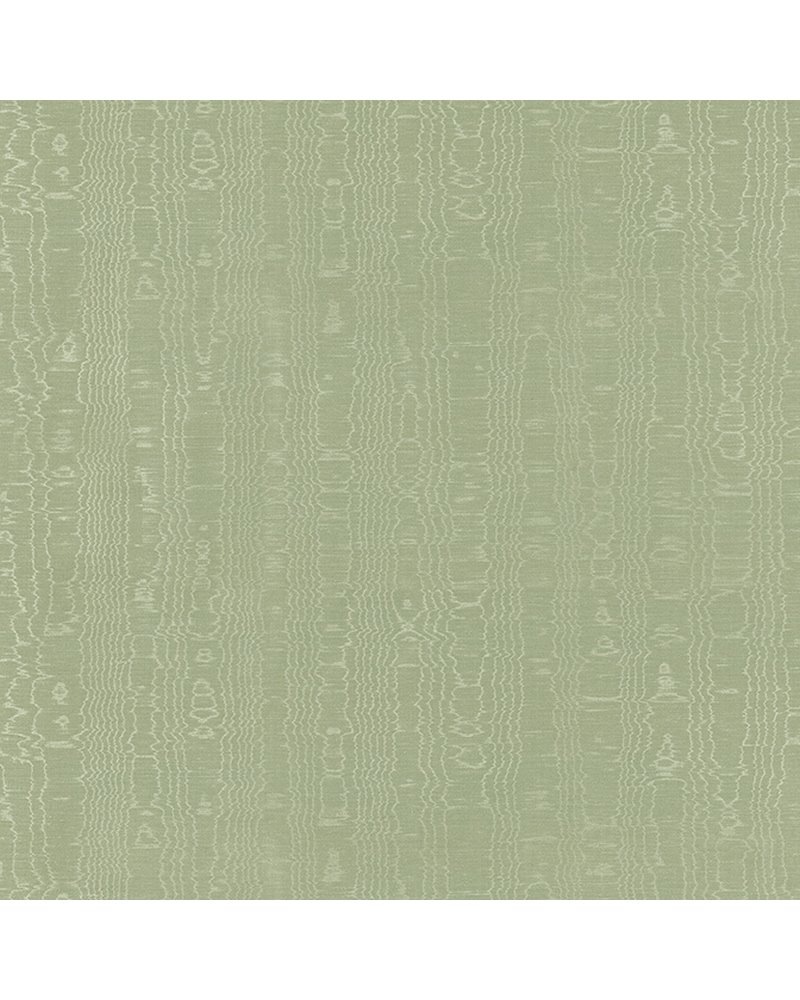 Regia Willow AW9214