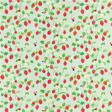 Strawberry Patch V359701